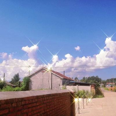 自由之战taptap下载